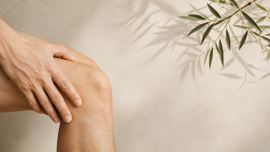 White Willow Bark for Pain: Joint, Back, Muscle &amp; Headache Relief Explained